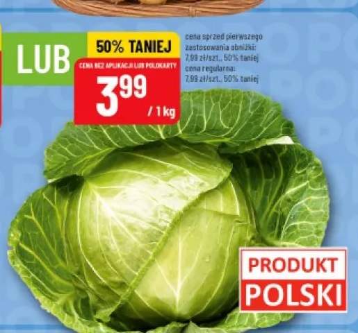Kapusta młoda