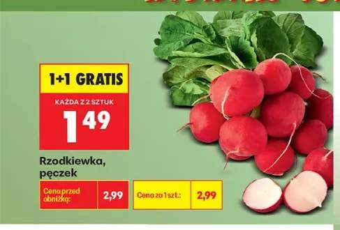 Rzodkiewka pęczek