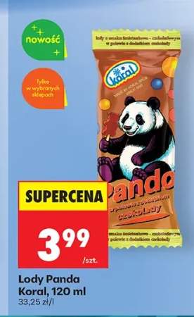 Lody Panda Koral