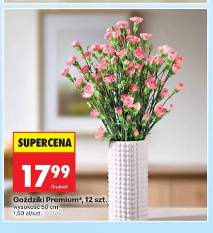 Goździki Premium