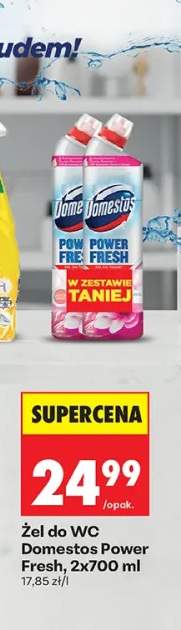 Żel do WC Domestos Power Fresh 2-pak