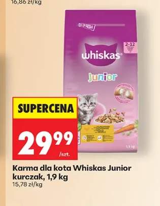 Karma dla kota Whiskas Junior kurczak