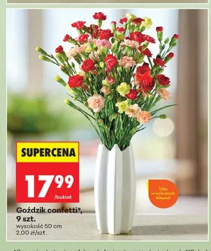 Goździk confetti 9 szt.