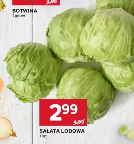 Sałata lodowa