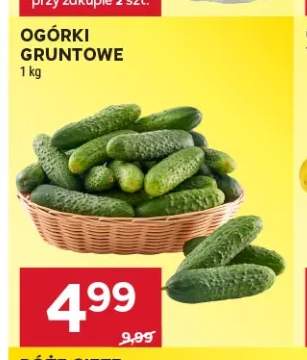 Ogórki gruntowe