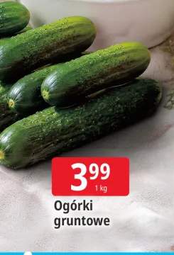 Ogórki gruntowe