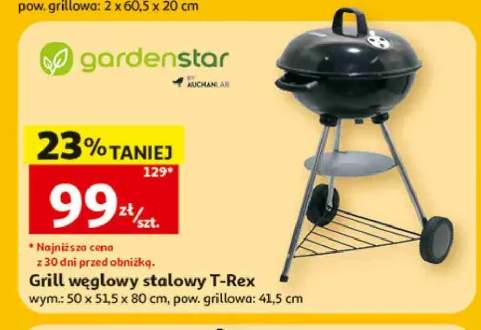 Grill węglowy stalowy T-Rex Gardenstar