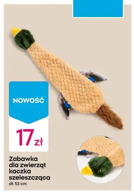 Zabawka dla zwierząt kaczka szeleszcząca