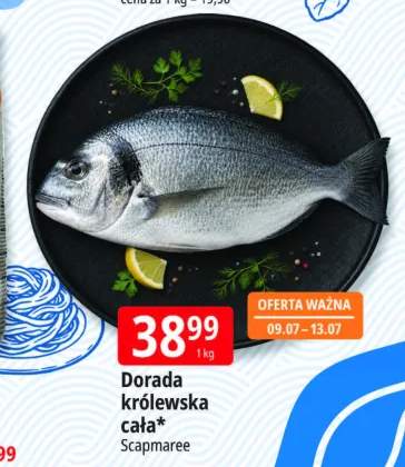 Dorada królewska cała Scapmaree