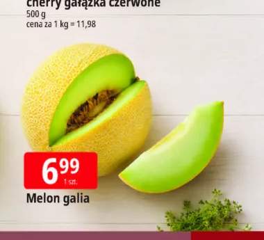 Melon galia