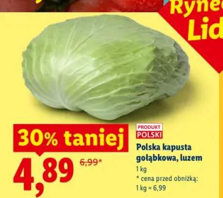 Kapusta gołąbkowa polska