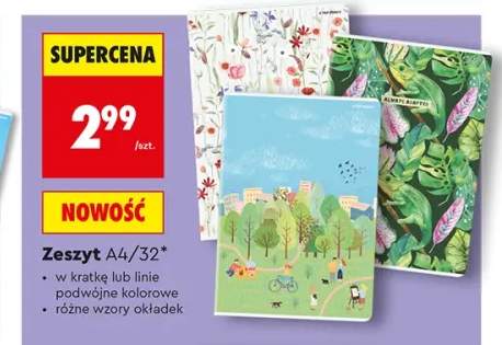 Zeszyt A4 32 kartki Top 2000