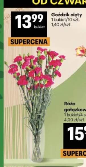 Goździk cięty