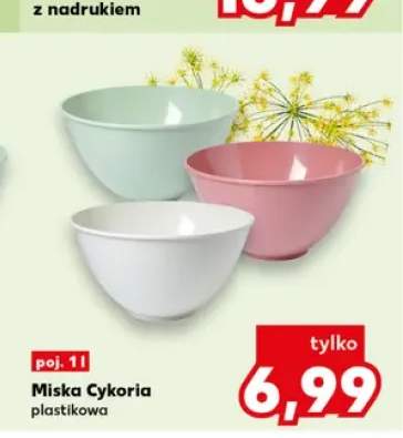 Miska plastikowa Cykoria 1 l