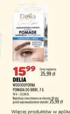Wodoodporna pomada do brwi Delia