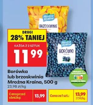 Borówka Mroźna Kraina +1 wariant