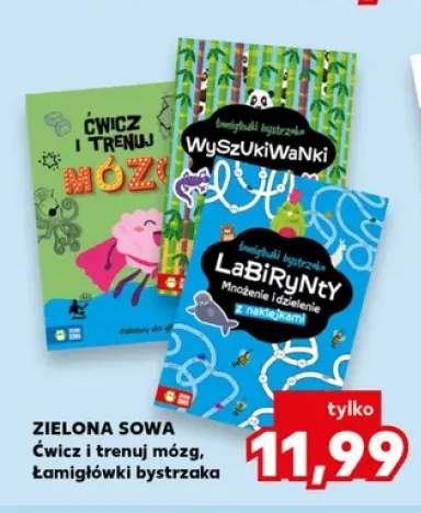Książka Ćwicz i trenuj mózg Zielona Sowa +2 warianty
