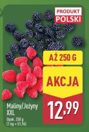 Jeżyny XXL