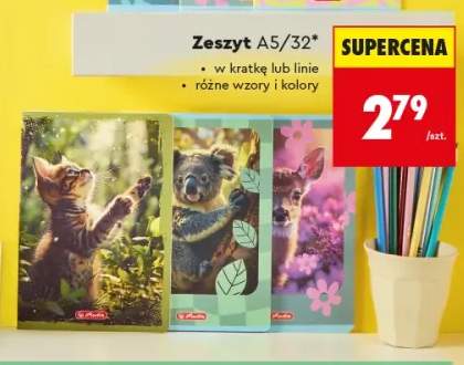 Zeszyt A5/32 Herlitz