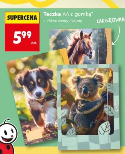 Teczka A4 z gumką lakierowana Herlitz