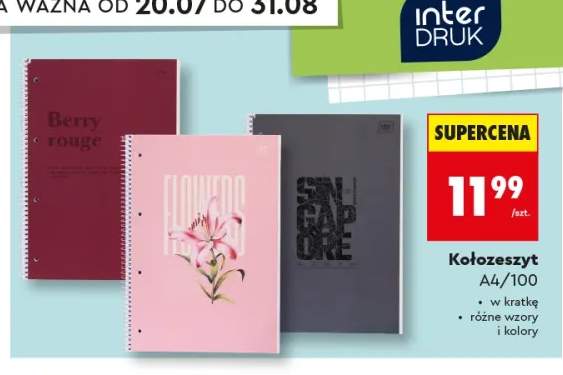 Kołozeszyt A4/100 Interdruk