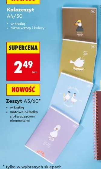 Zeszyt A5/60 Interdruk