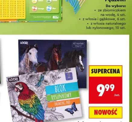 Blok rysunkowy A3 LOOZZ 40 kartek