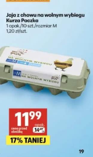 Jaja z chowu na wolnym wybiegu Kurza Paczka