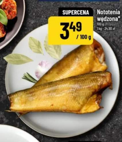 Nototenia wędzona