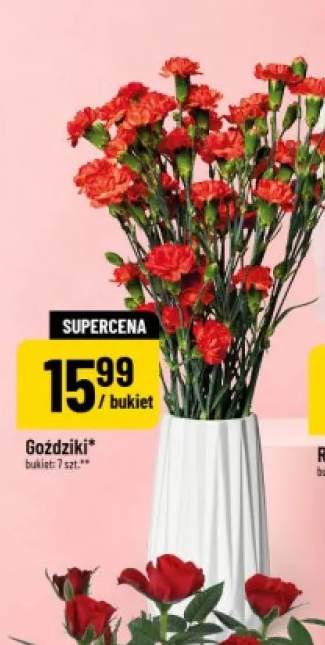 Goździki