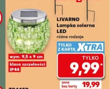 Lampka solarna LED Livarno