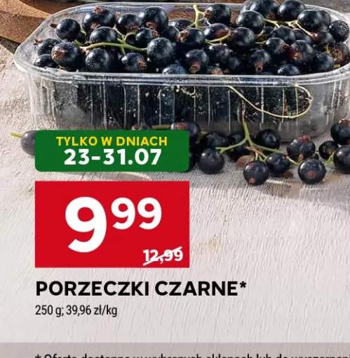 Porzeczki czarne