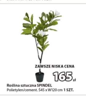 Roślina sztuczna Spindel