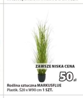 Roślina sztuczna Markusflue