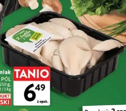 Boczniak Z Sadów i Pół