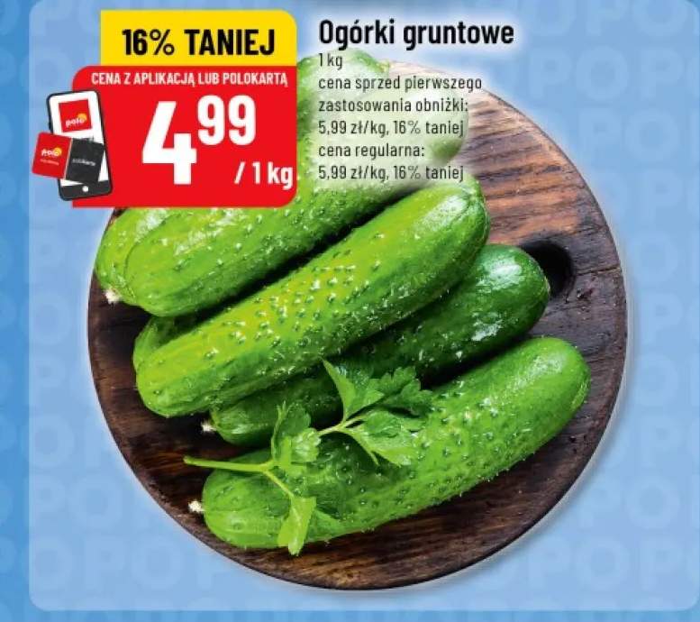 ogórek gruntowy