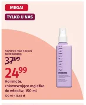 Zakwaszająca mgiełka do włosów Hairmate Acid Rain