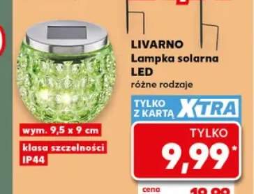 Lampka solarna LED Livarno
