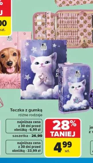 Teczka z gumką Cleo & Frank +1 wariant