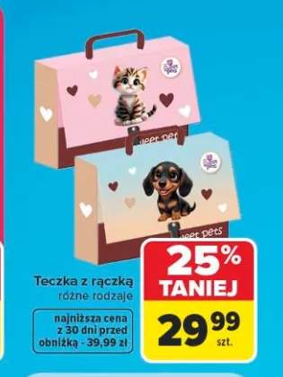 Teczka z rączką Sweet Pets