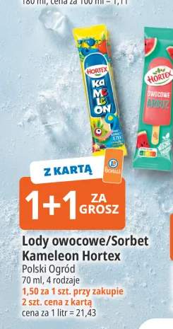 Lody owocowe Kameleon Hortex +1 wariant