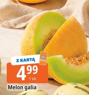 Melon galia