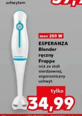 Blender ręczny Esperanza Frappe