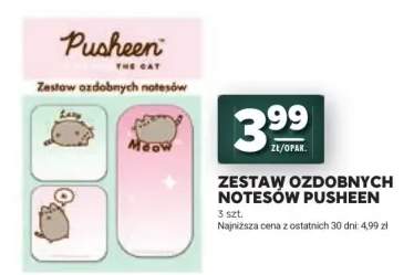 Zestaw ozdobnych notesów Pusheen