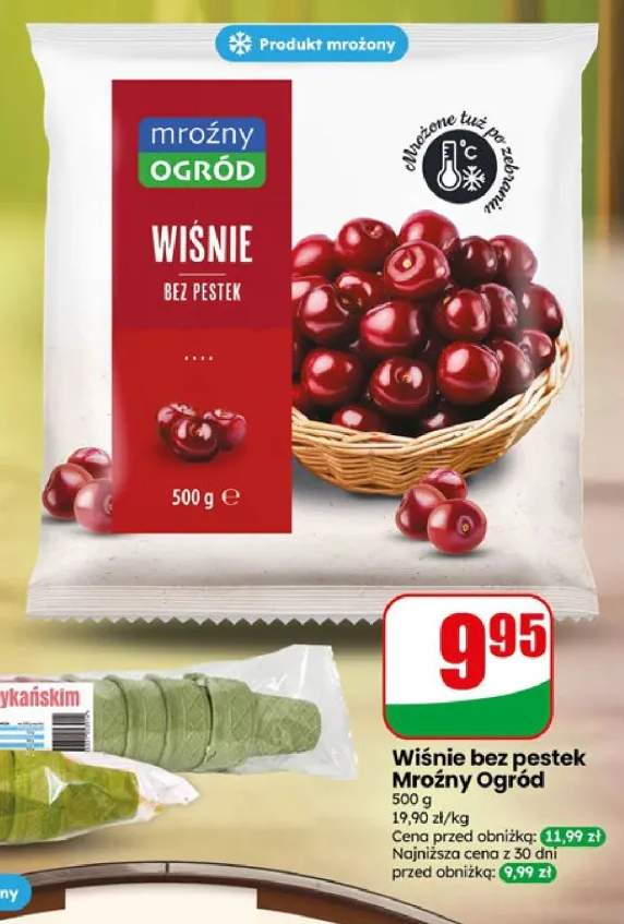 Wiśnie bez pestek Mroźny Ogród