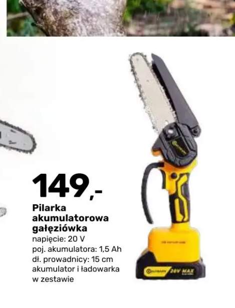 Pilarka akumulatorowa gałęziówka