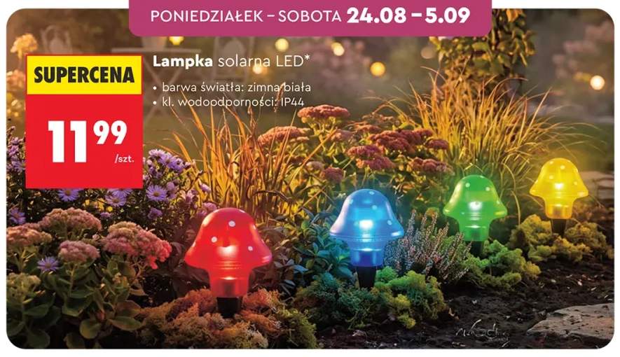 Lampka solarna LED