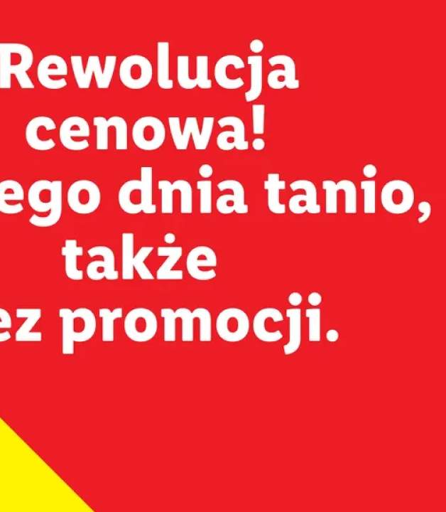 Proszek do prania Vizir XL Do Kolorów
