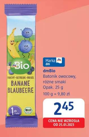 Batonik owocowy dmBio