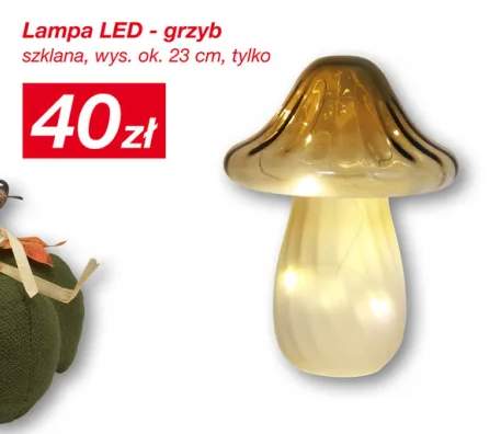 Lampa LED grzyb